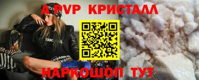 СК Ярославль