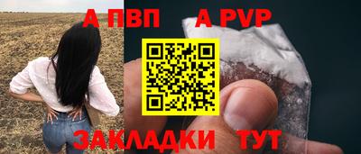 СК Ярославль