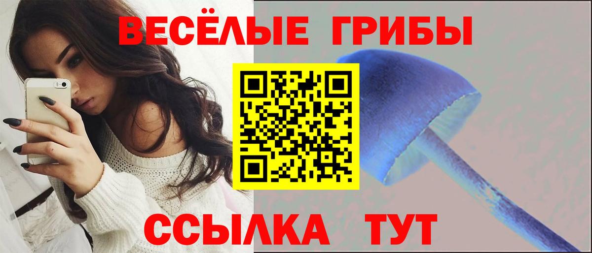 Галлюциногенные грибы Psilocybine cubensis Котлас